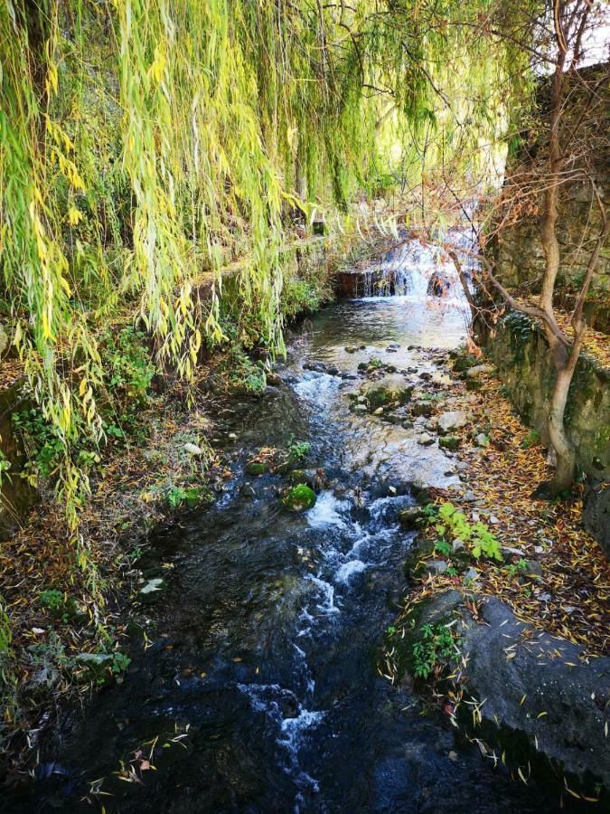 Cazorla Suite Dış mekan fotoğraf
